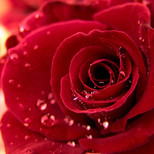 Hd-171767-ascw171767