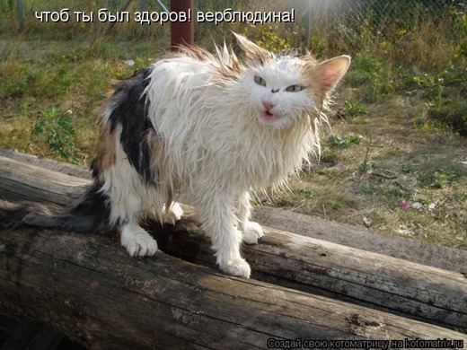 [470698%255B2%255D.jpg]