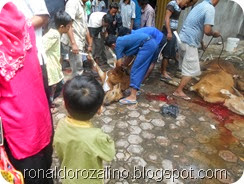 Suasana Pemotongan Hewan Kurban di Masjid Raya Kota Teluk Kuantan (10)