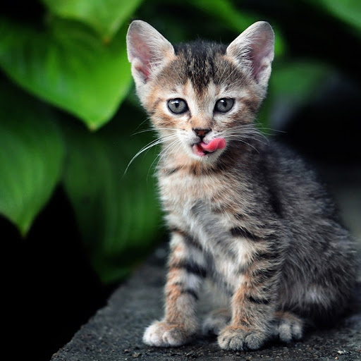 Hd-180746-ascw180746