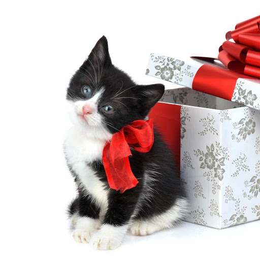 Hd-170919-ascw170919