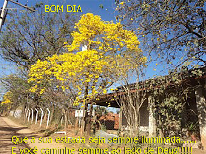 estrada%2520iluminada.png