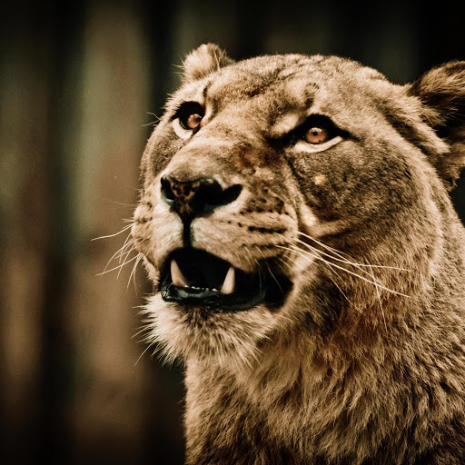 Hd-174754-ascw174754