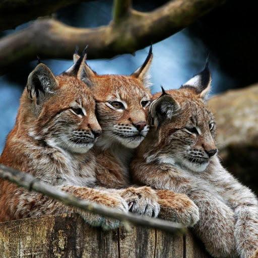 Hd-180330-ascw180330