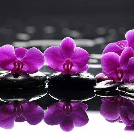 Hd-166662-ascw166662