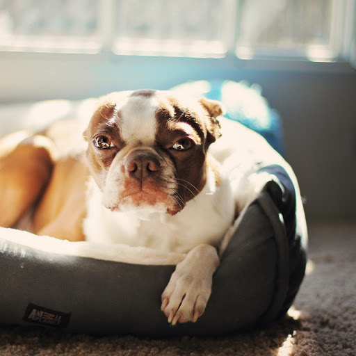 Hd-159456-ascw159456