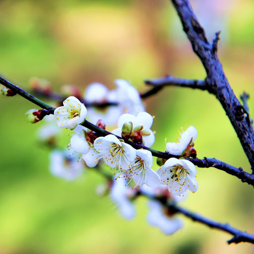 Hd-164345-ascw164345