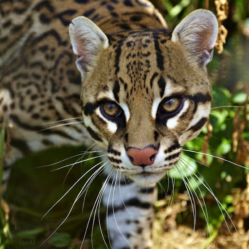 Hd-180315-ascw180315