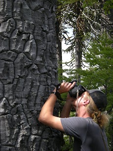 DSCN7340.JPG