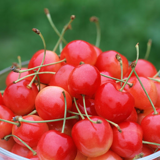 Hd-157957-ascw157957