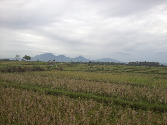 bali