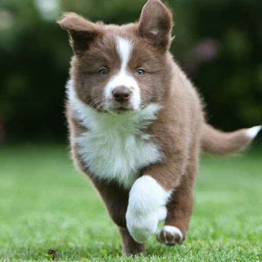 Hd-137386-ascw137386