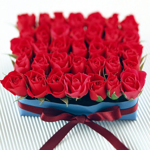 Hd-131616-ascw131616