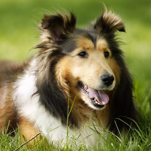 Hd-160981-ascw160981