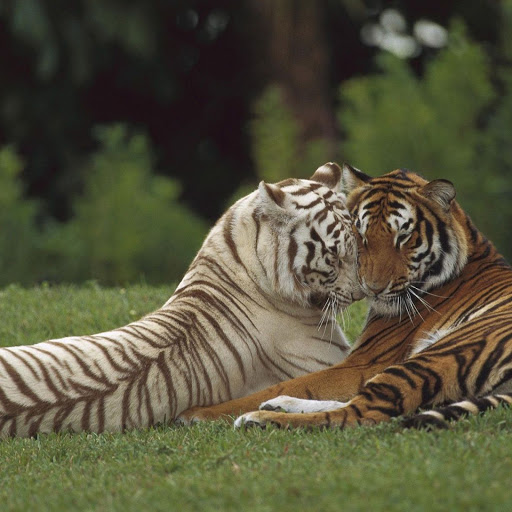 Hd-139731-ascw139731