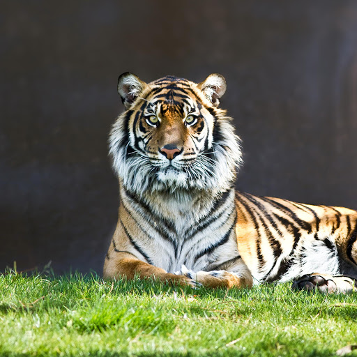 Hd-140828-ascw140828