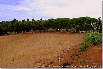 1448 Pinos de Gáldar-Gáldar 1448 Pinos de Gáldar-Gáldar