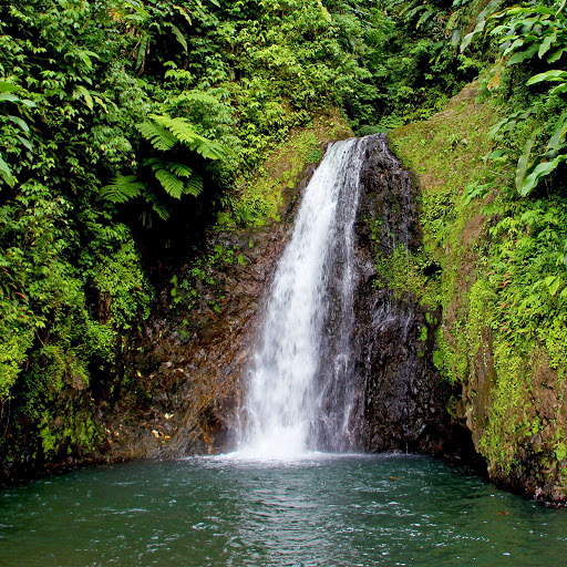 Hd-155122-ascw155122