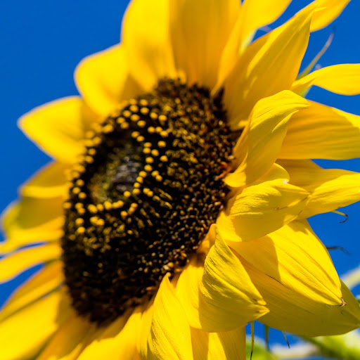 Hd-170939-ascw170939