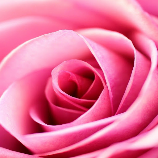 Hd-169950-ascw169950