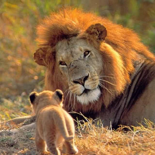 Hd-134633-ascw134633