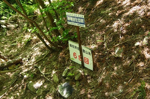 [140601603.jpg]
