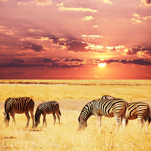 Hd-134651-ascw134651