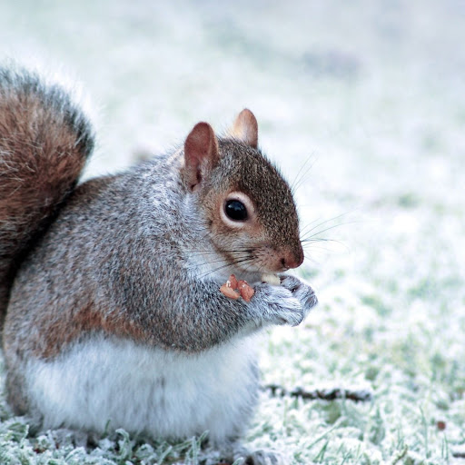 Hd-147996-ascw147996