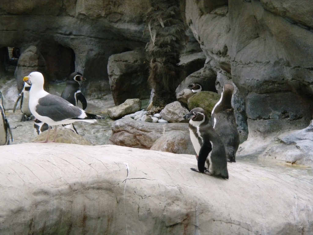 [DSCN5479%2520-%2520Kopie%255B4%255D.jpg]