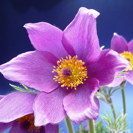 Hd-174913-ascw174913