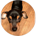 Joshua Robbinss profile picture