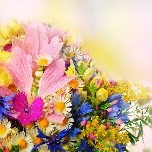 Hd-141775-ascw141775