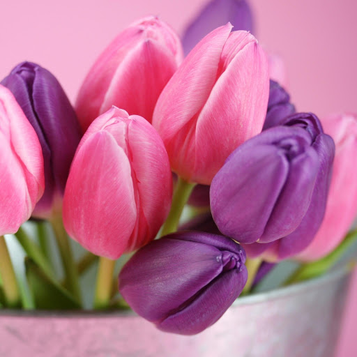 Hd-171451-ascw171451