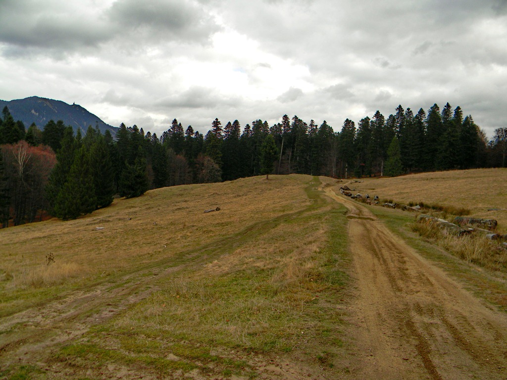 [DSCN26303.jpg]
