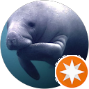 Manatees Moos profile picture