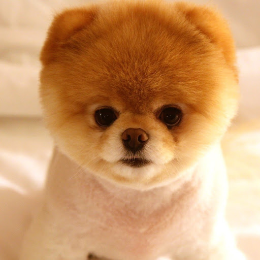 Hd-132341-ascw132341