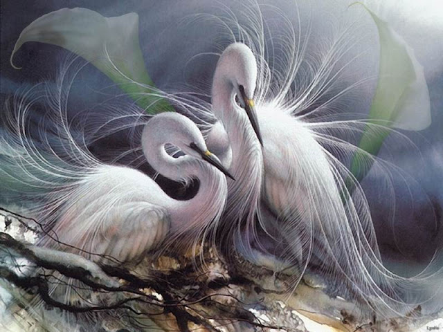 Lee Bogle - 37a.jpg