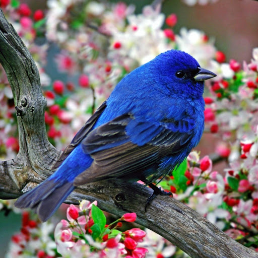 Hd-182619-ascw182619