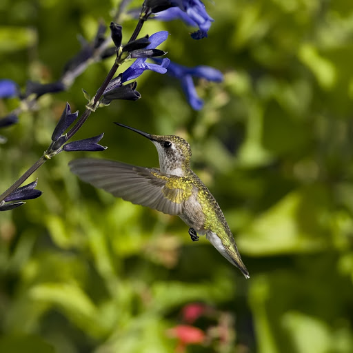 Hd-132258-ascw132258