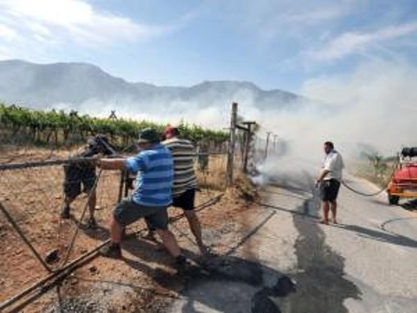 [HEXRIVER%2520FARMERS%2520TRY%2520TO%2520SAVE%2520THEIR%2520VINEYARDS%2520FROM%2520TORCHING%2520NOV92012.jpg]