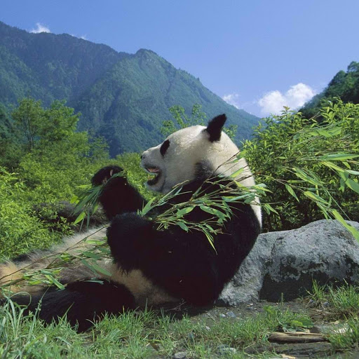 Hd-136974-ascw136974