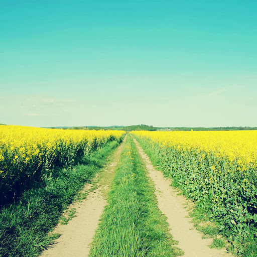 Hd-166147-ascw166147