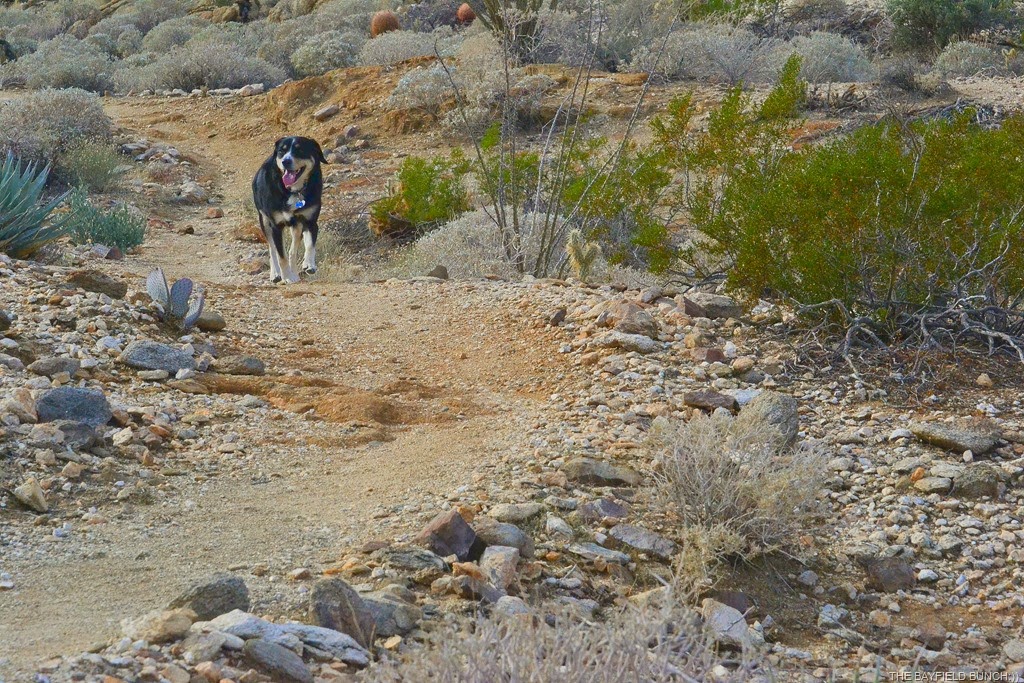 [DSC_0006%255B9%255D.jpg]