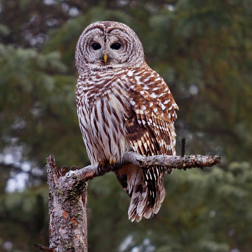 Hd-178216-ascw178216