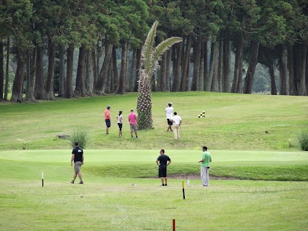 30. Teren de golf in Terceira, Azore.JPG