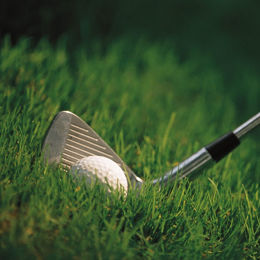 Hd-169001-ascw169001