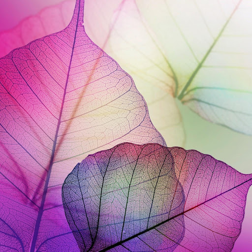 Hd-164939-ascw164939