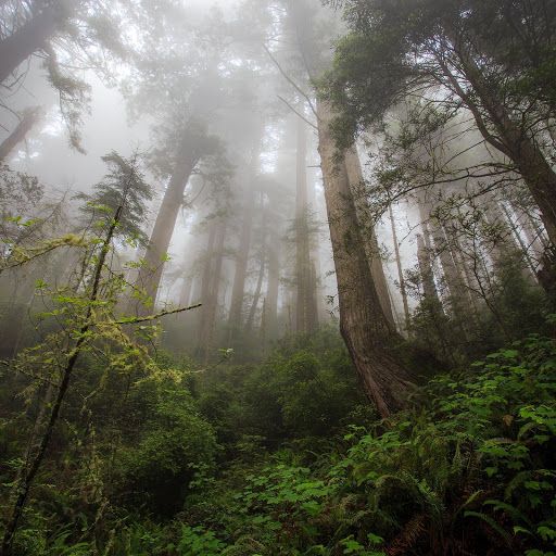 Hd-159068-ascw159068