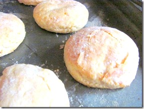 plain biscuits