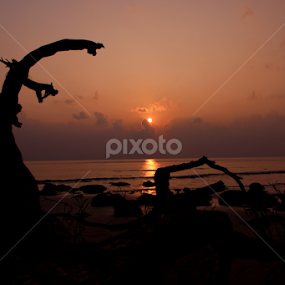 SURREAL by Tarunjyoti Tewari - Landscapes Sunsets & Sunrises